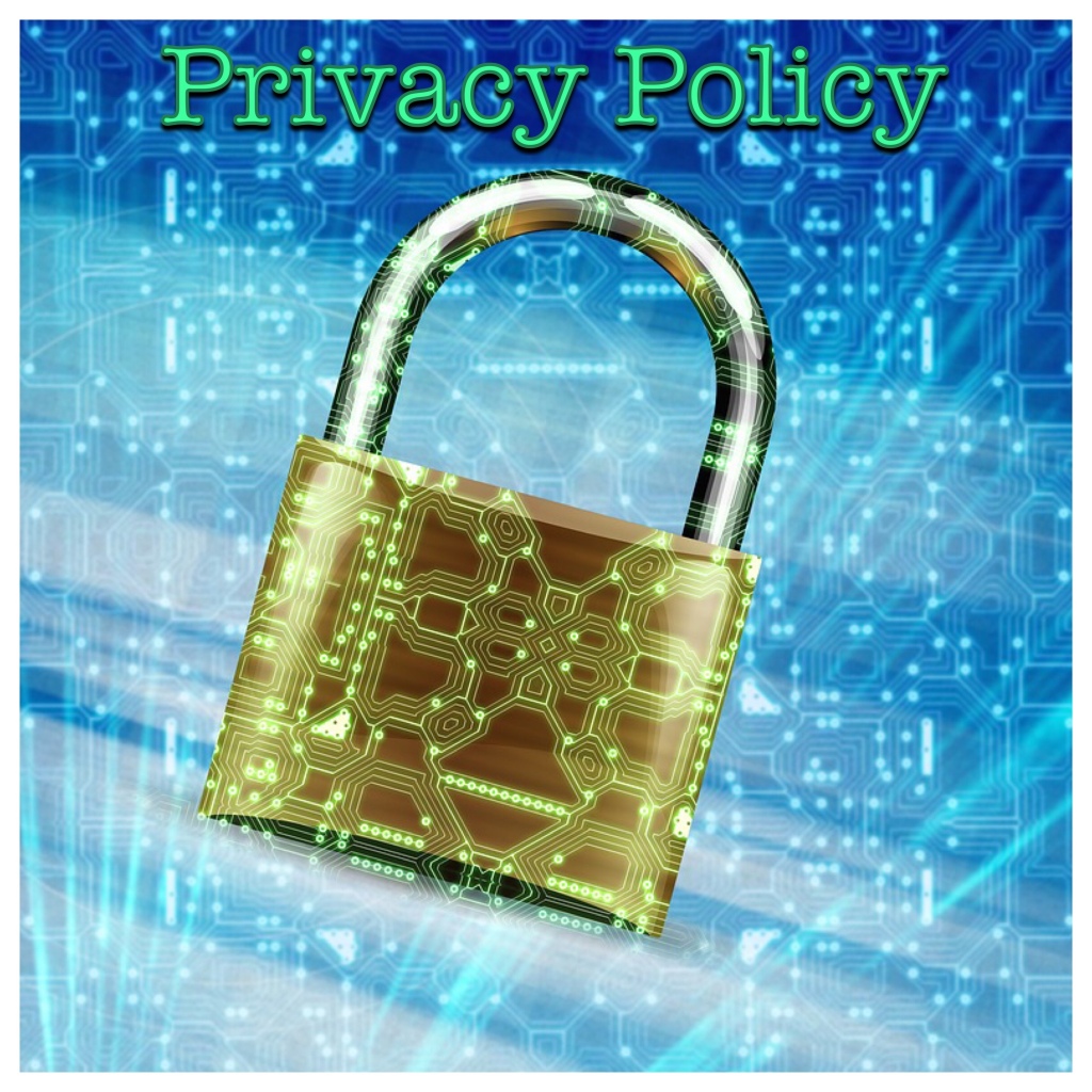 Privacy Policy Logo (padlock and computer circuitry) 